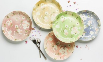 Differences between high and low temperature porcelain? Differences between high and low temperature porcelain?