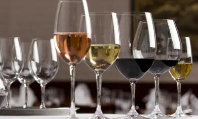 Which wine go with which wine glass? Which wine go with which wine glass?