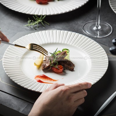Nordic Dinnerware Carll Solar Series Ceramic White Dinner Plate Nordic Dinnerware Carll Solar Series Ceramic White Dinner Plate