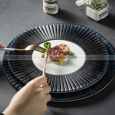 Carll Solar Series Designer Dinnerware Ceramic Navy Stylish Dish Carll Solar Series Designer Dinnerware Ceramic Navy Stylish Dish