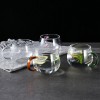 Transparent Glass Ware Set Heat Resistant Mugs With Colorful Handle Transparent Glass Ware Set Heat Resistant Mugs With Colorful Handle