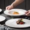 Nordic Dinnerware Carll Solar Series Ceramic White Dinner Plate Nordic Dinnerware Carll Solar Series Ceramic White Dinner Plate