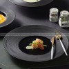 Designer Tableware Collection Weiss Series Ceramic Dish Black Plate Designer Tableware Collection Weiss Series Ceramic Dish Black Plate
