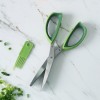 Multipurpose 5-Blade Kitchen Herb Shears - Scallion and Herb Scissors Multipurpose 5-Blade Kitchen Herb Shears - Scallion and Herb Scissors