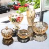 Luminous Bloom: Fashionable Glass Vase for Elegant Floral Arrangements Luminous Bloom: Fashionable Glass Vase for Elegant Floral Arrangements