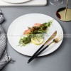 Elegant Ceramic Plates - Versatile Dinnerware Delight (10") Set of 2 Elegant Ceramic Plates - Versatile Dinnerware Delight (10") Set of 2